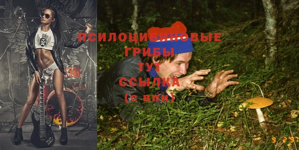 твердый Верея