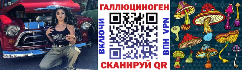 Псилоцибиновые грибы Magic Shrooms  Купить где  Питкяранта 