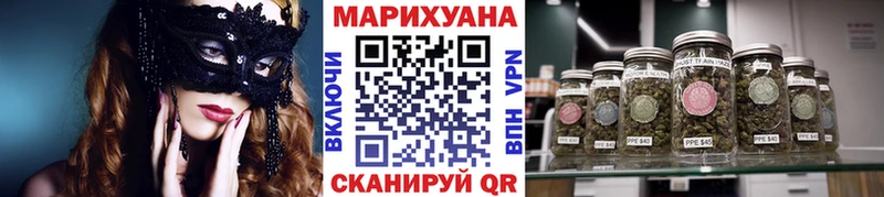 Купить  Питкяранта  Шишки марихуана SATIVA & INDICA 